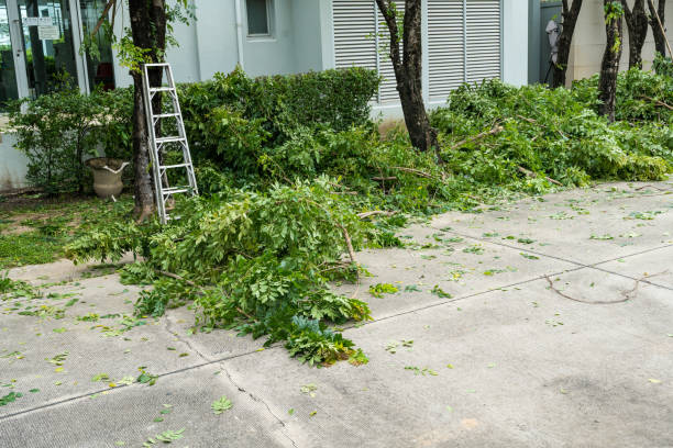 Seasonal Cleanup (Spring/Fall) in Laurel, MT